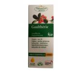 GAULTHERIE 10 ML