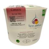 SORBET CASSIS