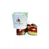 SORBET MARRON CHATAIGNE
