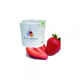 SORBET FRAISE
