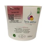 SORBET MYRTILLE SAUVAGE