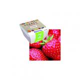 SORBET FRAISE KILIMANDJABIO