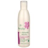 SHAMPOO,ANTICHUTE