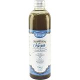 SPG ALEP NIGELLE