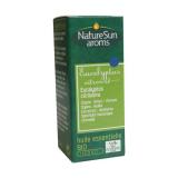 EUCALYPTUS CITRONNE 10 ML