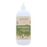 SHP SOIN GINGKO OLIVE
