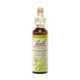 CLEMATIS 20 ML