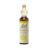 HONEYSUCKLE 20 ML