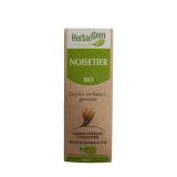 NOISETIER 50ML