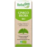 GINGKO 15ML